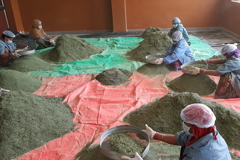 Manufacturing Unit Image 23